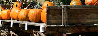 Pumpkins at the Covered Bridge »